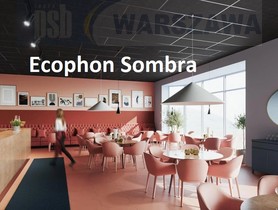 Zdjęcie produktu: Ecophon Sombra czarny sufit akustyczny czarna konstrukcja T24