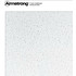 Miniatura zdjęcia: CERAMAGUARD FINE FISSURED (100 RH) Armstrong